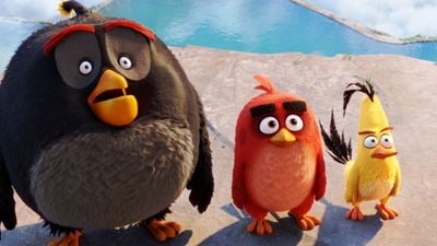 Neuer Trailer zu "Angry Birds - Der Film": Wütende Vögel blasen zum Angriff auf grüne Schweine
