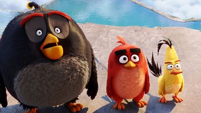 bild aus der news "Zum ersten Mal mit Flügeln und Beinen": Das FILMSTARTS-Interview mit "Angry Birds"-Produzent John Cohen