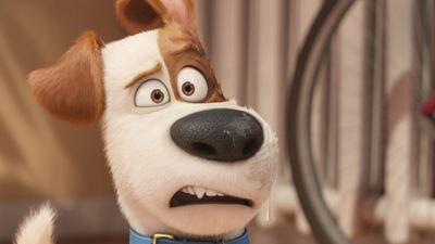 "Pets": Die ersten Kritiken zum neuen Animationsfilm der "Minions"-Macher sind da