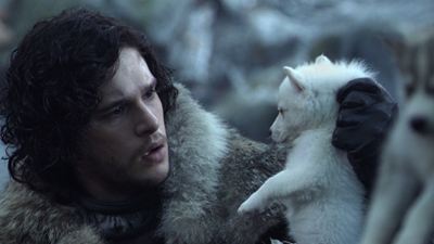 "Game Of Thrones": Davos-Mime erklärt das Fehlen von Jons Schattenwolf Ghost bei der Schlacht der Bastarde