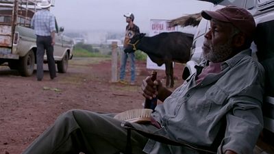 bild aus der news "Mr. Pig": Erster Trailer zu Diego Lunas Road-Movie mit Danny Glover und Maya Rudolph