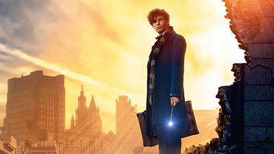 bild aus der news Am Set von "Phantastische Tierwesen und wo sie zu finden sind": Das FILMSTARTS-Interview mit Oscarpreisträger Eddie Redmayne