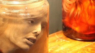 bild aus der news Mit Haut, Haar, Kopf und Kragen: Im Trailer zum Horror-Slasher "Skin Collector" sammelt ein Killer grausige Trophäen