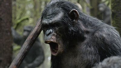 bild aus der news "Planet der Affen: Survival": Deutscher Titel für den dritten Teil der "Planet der Affen"-Prequel-Reihe