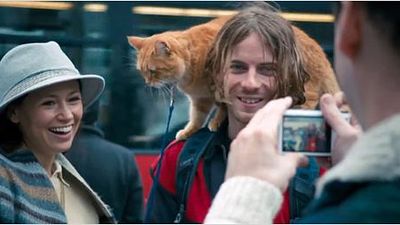 bild aus der news Vorschau auf die Katzenkamera in einem exklusiven Video aus "Bob, der Streuner"