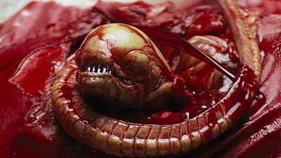 bild aus der news Der "Muppets"-Kult "Schweine im Weltall" ist zurück – mit einer Parodie auf Ridley Scotts Horror-Klassiker "Alien"