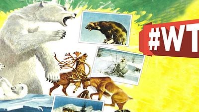 bild aus der news #WTF: Für diesen Disney-Film wurden Tiere ein Kliff hinunter in den Tod geschmissen – und als Lohn dafür gab es sogar noch einen Oscar