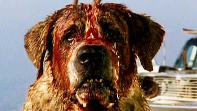 bild aus der news "Der dunkle Turm": Stephen King ist begeistert von der Adaption, in der Cujo einen Cameo-Auftritt haben wird