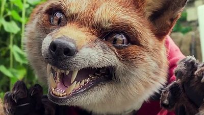 bild aus der news "Peter Hase": Wilde Partytiere und Domhnall Gleeson im ersten Trailer zur Kinderbuchverfilmung