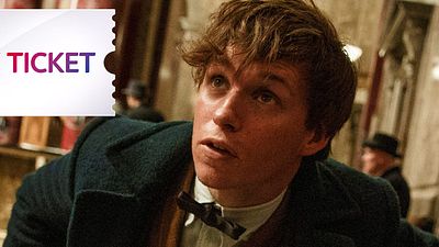 bild aus der news Mit "Phantastische Tierwesen und wo sie zu finden sind": Die Sky Ticket Tipps für November