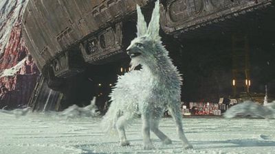 bild aus der news Cooler als die Porgs: Video und Infos zu den Kristallfüchsen aus "Star Wars 8"