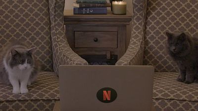 bild aus der news "Stranger Things": Katzen reagieren im Video auf DEN Schocker aus Staffel 2