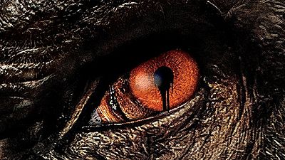 bild aus der news Der "Zoo" macht dicht: Finale Staffel der Endzeit-Serie startet auf ProSieben