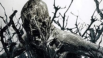 bild aus der news Ein Star-Fotograf als Regisseur: Deutscher Trailer zum Horrorfilm "Shapeshifter"