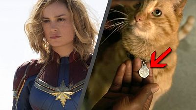 bild aus der news Darum könnte die Katze aus dem "Captain Marvel"-Trailer auch in "Avengers 4" dabei sein