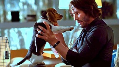 bild aus der news Umgekehrter "John Wick": "Happy Deathday"-Schöpfer teasert sein neues Projekt 