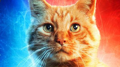 bild aus der news Katze Goose in "Captain Marvel 2"? So könnte es mit dem Flerken weitergehen