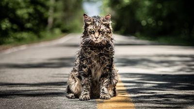 bild aus der news Stephen-King-würdig? FSK gibt Altersfreigabe zu "Friedhof der Kuscheltiere" bekannt