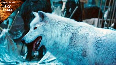 bild aus der news "Game Of Thrones": Hat Schattenwolf Ghost die 3. Folge überlebt?