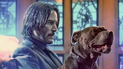 bild aus der news "John Wick 3": Tausende rebellische Katzen suchten die Dreharbeiten heim