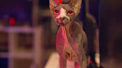 bild aus der news Nach "Friedhof der Kuscheltiere" kommt "Friedhof am Ende der Welt": Deutscher Trailer zum Horror-Abklatsch