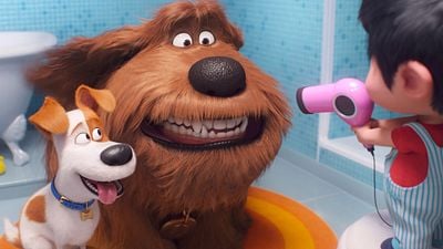 bild aus der news "Pets 2": FSK gibt Altersfreigabe zum neuen Film der "Minions"-Macher bekannt