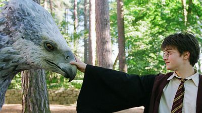 bild aus der news "Harry Potter"-Doku: Darum wird der neue Film ziemlich ungewöhnlich!