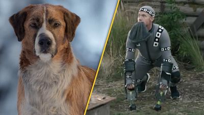 Video zu "Ruf der Wildnis": So albern sahen die Dreharbeiten mit CGI-"Hund" aus