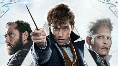 bild aus der news Nach "Harry Potter und die Heiligtümer 2": Warum die "Phantastische Tierwesen"-Reihe einfach nicht funktioniert