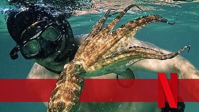 bild aus der news Ausgerechnet dieser neue Netflix-Film hat mich verzaubert wie kein anderer