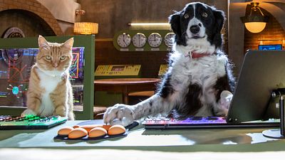 bild aus der news Pfoten vereint und bald im Kino! Deutscher Trailer zu "Cats & Dogs 3"