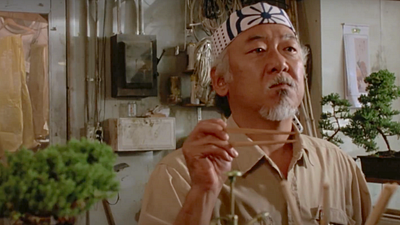 bild aus der news Nachschub für "Cobra Kai"-Fans noch vor Staffel 4: Trailer zu "More Than Miyagi"