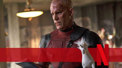 bild aus der news Diese Woche neu bei Netflix: Der derbste aller Marvel-Blockbuster – und die Doku-Antwort auf "Fluch der Karibik"