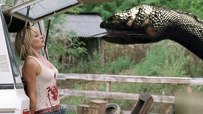 bild aus der news TV-Warnung für heute: Dieser Schlangen-Horror mit David Hasselhoff ist zum Würgen