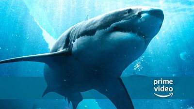 bild aus der news Streaming-Warnung für Amazon Prime Video: Diesem Hai-Horror fehlt der Biss – aber es gibt eine Alternative!