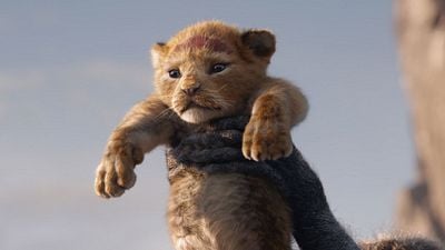 bild aus der news "Der König der Löwen"-Remake: Was wir über das Sequel "The Lion King 2" wissen