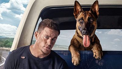 bild aus der news Roadtrip mit Hund: Berührender deutscher Trailer zu "Dog" von und mit Superstar Channing Tatum