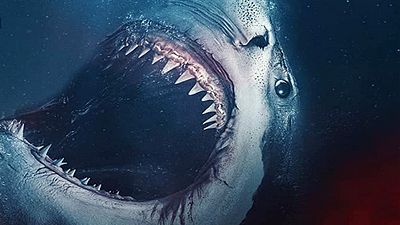 bild aus der news Vor "Meg 2" kommt "The Requin": Deutscher Trailer zum starbesetzten Hai-Horrorfilm – demnächst im Heimkino!