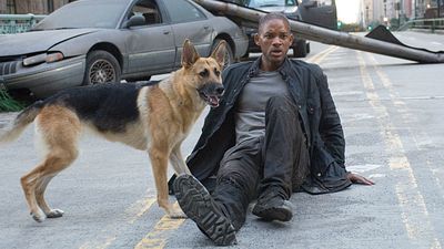 bild aus der news Heute im TV: Bildgewaltiger Endzeit-Horror mit Will Smith – um die Fortsetzung müssen sich Fans nun richtig Sorgen machen!