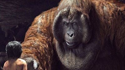 bild aus der news Wo bleibt eigentlich die Disney-Fortsetzung "The Jungle Book 2"?