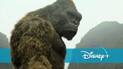Disney+ entwickelt "King Kong"-Serie – und es könnte absolut gigantisch werden!