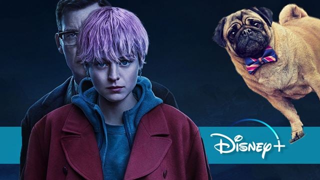 Neu auf Disney+ im November: Die Neuinterpretation eines Abenteuer-Epos, Gen Z auf Mörderjagd & ein entführter Mops