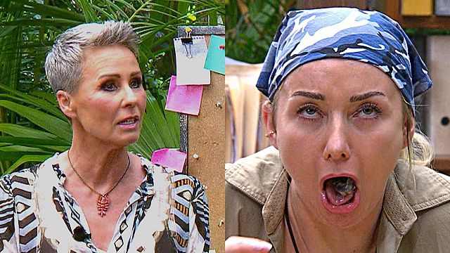bild aus der news Langeweile pur im Dschungelcamp: Die neue Staffel enttäuscht ab Tag 1