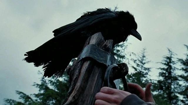 bild aus der news Einer der besten Regisseure der Gegenwart hat seit 8 (!) Jahren keinen Film mehr gedreht – nun arbeitet er an einem Horror-Schocker