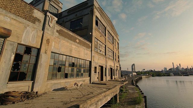 bild aus der news Neu im Streaming-Abo: Die Verfilmung einer der erfolgreichsten Romanserien aller Zeiten – es gibt 91 Bände!