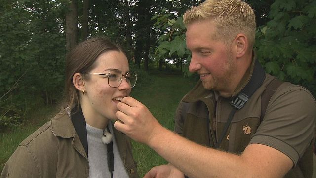 bild aus der news "Bauer sucht Frau"-Kandidat Daniel steht in der Kritik: Fans werfen dem Landwirt unehrliche Absichten vor