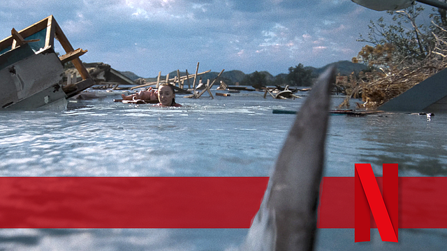 bild aus der news Erster Trailer zum Hurrikan-Hai-Horror "Thrash": Ein "Bridgerton"-Star bekommt es bei Netflix mit Unterwasser-Bestien zu tun