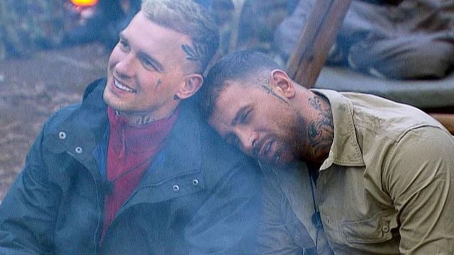 bild aus der news Liebes Dschungelcamp: Auf das Ende dieser Bromance sind wir noch nicht vorbereitet