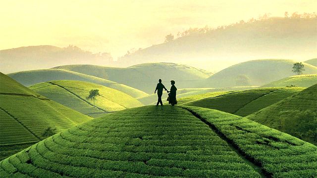 bild aus der news Wunderschöne Bilder und harte Schicksale: Deutsche Trailerpremiere zu "Black Tea" – exklusiv bei FILMSTARTS