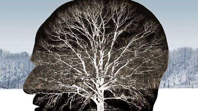 bild aus der news Heute ohne Werbung im TV: Großes deutsches Kino, das euch zutiefst berühren wird